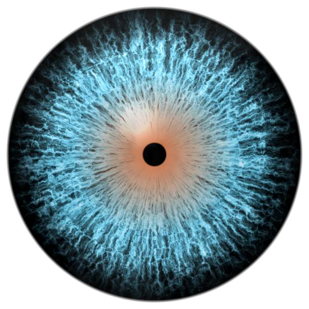 istock Strange animal eye with big colored iris, view into bulb 467659934