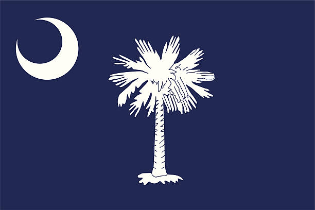 사우스 캐롤라이나 플래깅 - south carolina flag interface icons symbol stock illustrations