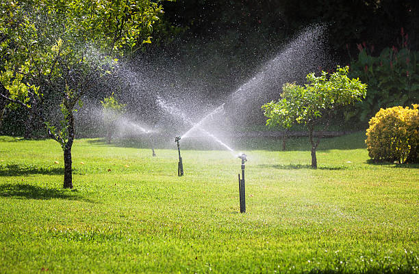 istock Automatic sprinkler watering in the garden 467663320