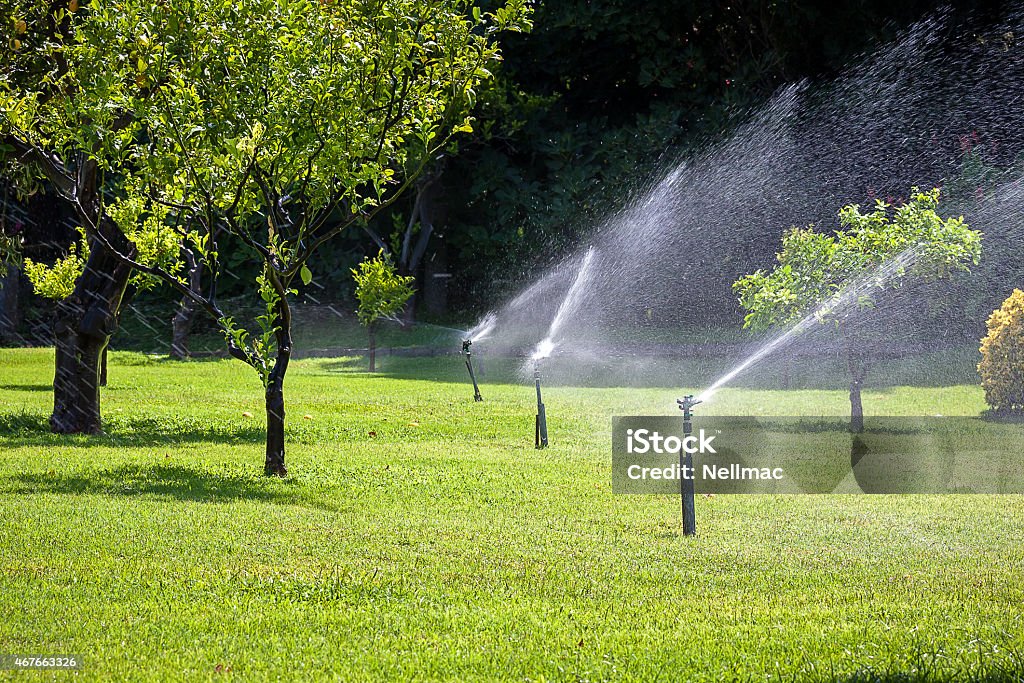 Automatic sprinkler watering in the garden Automatic sprinkler watering in the garden at summer day 2015 Stock Photo