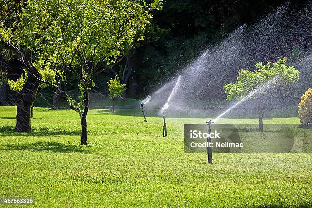 Automatic Sprinkler Watering In The Garden Stock Photo - Download Image Now - 2015, Agricultural Field, Agriculture