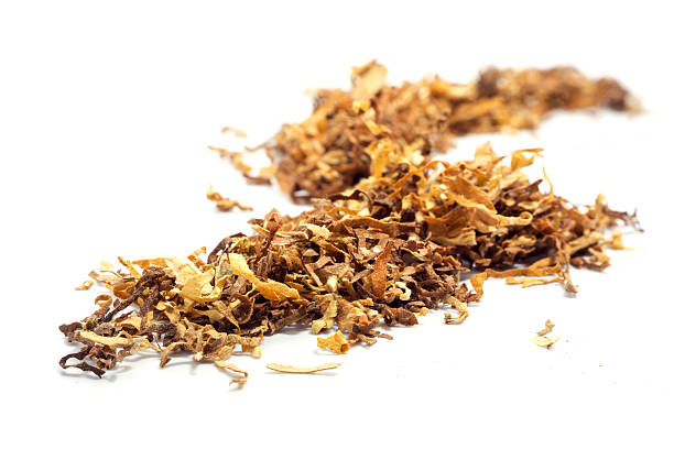 istock loose tobacco, close up isolated on white 467664064