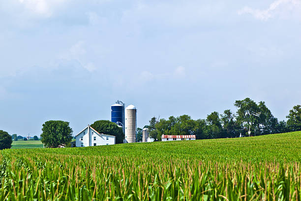istock farm house with field and silo 467665263