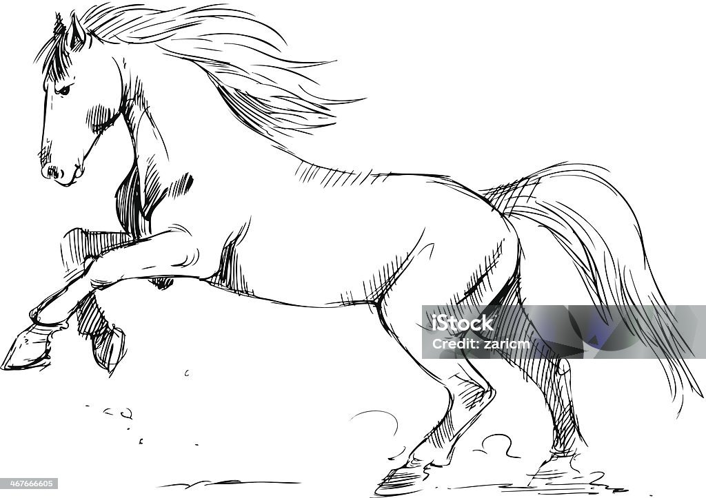 Cavalo - Royalty-free Animal arte vetorial