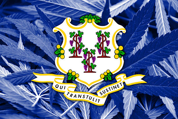 istock Connecticut State Flag on cannabis background. Drug policy. 467666712