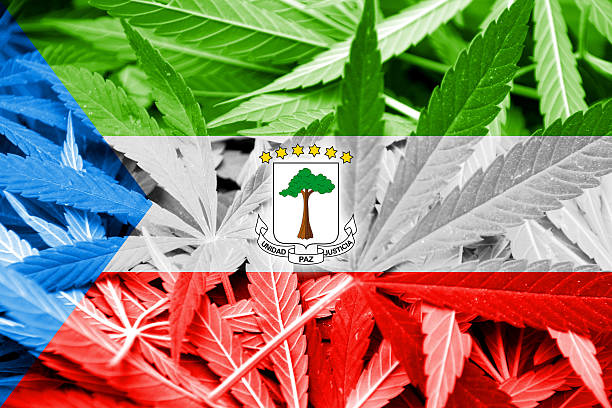 istock Equatorial Guinea Flag on cannabis background. Drug policy. 467666762
