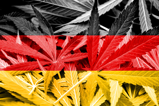 Germany Flag on cannabis background. Drug policy. Legalization of marijuana
