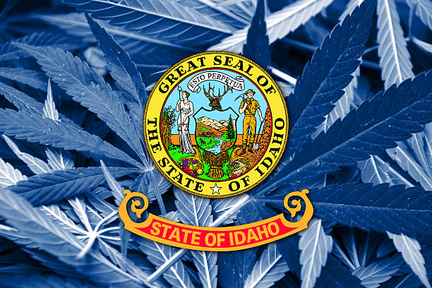 istock Idaho State Flag on cannabis background. Drug policy. 467667506