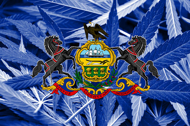 Pennsylvania State Flag on cannabis background. Drug policy.