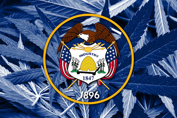 istock Utah State Flag on cannabis background. Drug policy. 467668206