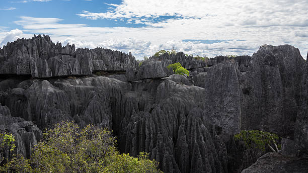 istock Tsingy of Bemaraha. 467671502