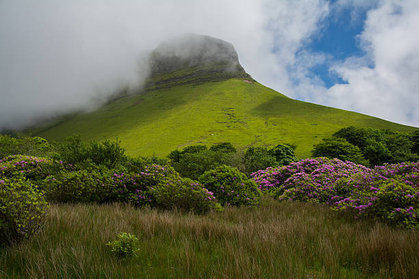 Ben Bulben, Republic of Ireland Ben Bulben, Republic of Ireland on a partly sunny day with rhododendron in the foreground, Sligo ben bulben stock pictures, royalty-free photos & images