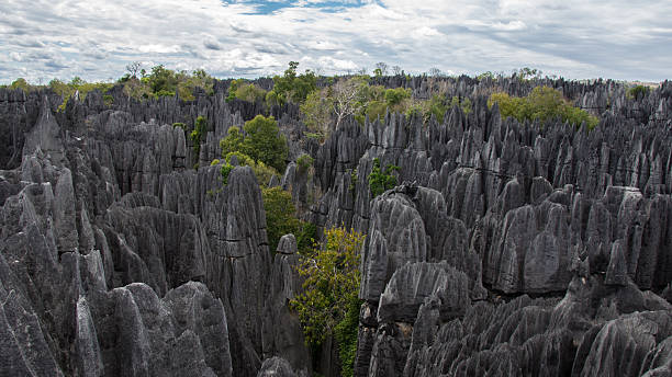 Tsingy of Bemaraha.