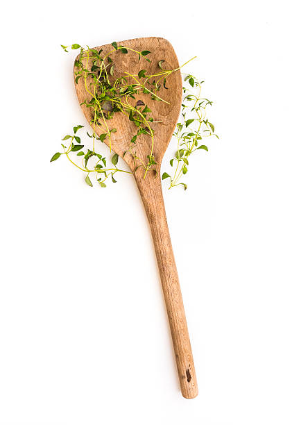 istock fresh thyme herb on a wooden spoon 467673092