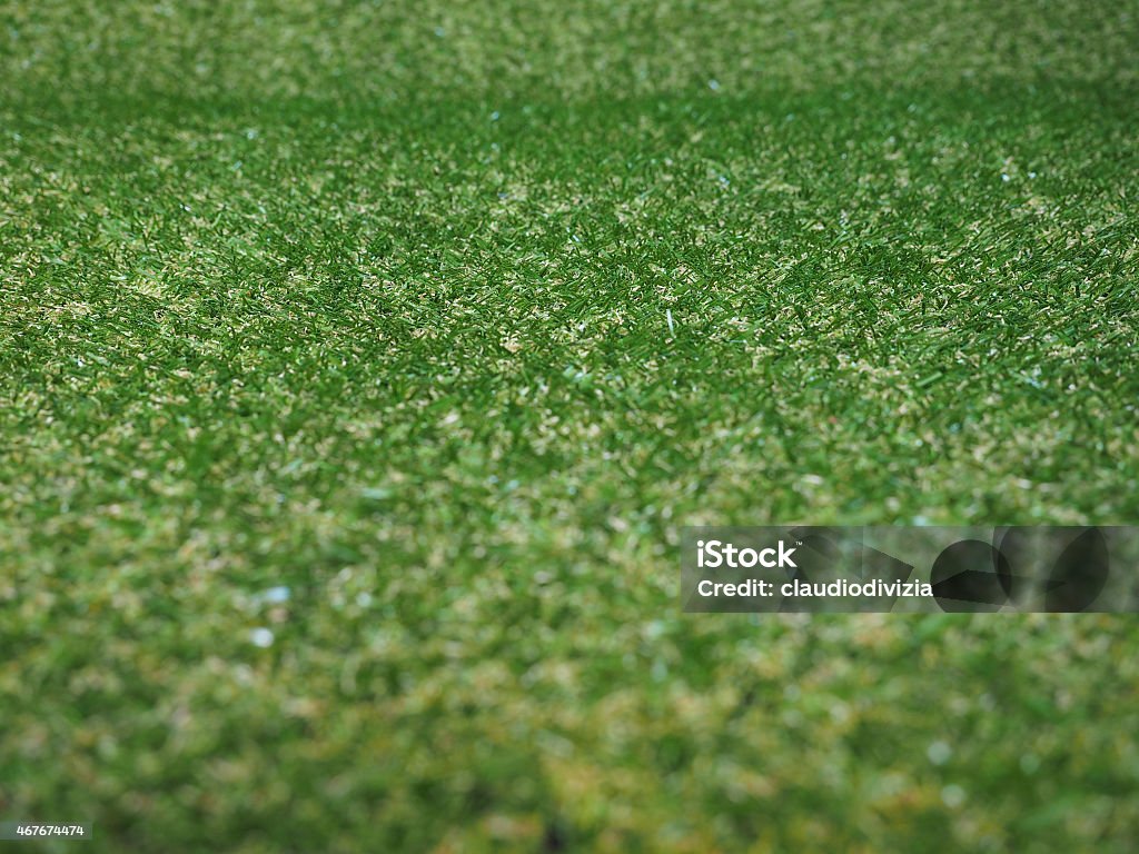 Green artificial synthetic grass meadow background Green artificial synthetic grass meadow texture useful as a background 2015 Stock Photo