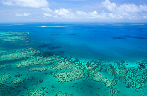 Great Barrier Reef Aerial view of a great barrier reef cairns australia stock pictures, royalty-free photos & images