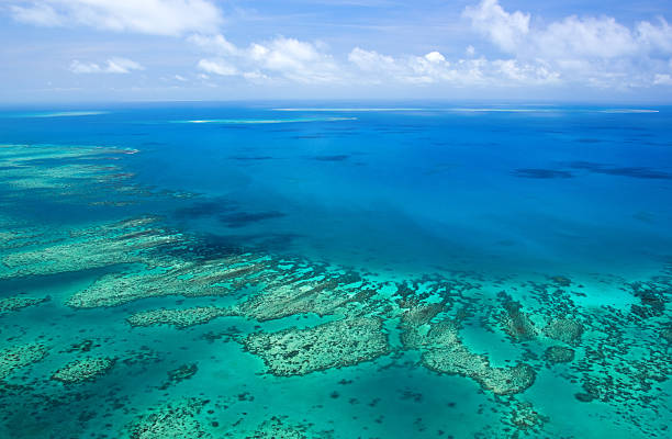 большой барьерный риф - cairns стоковые фото и изображения