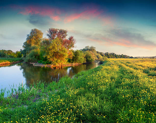 istock Beautiful summer landscape with the river 467679312