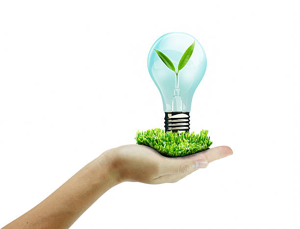 istock Hand holding litgh bulb . concept love the earth. 467687783