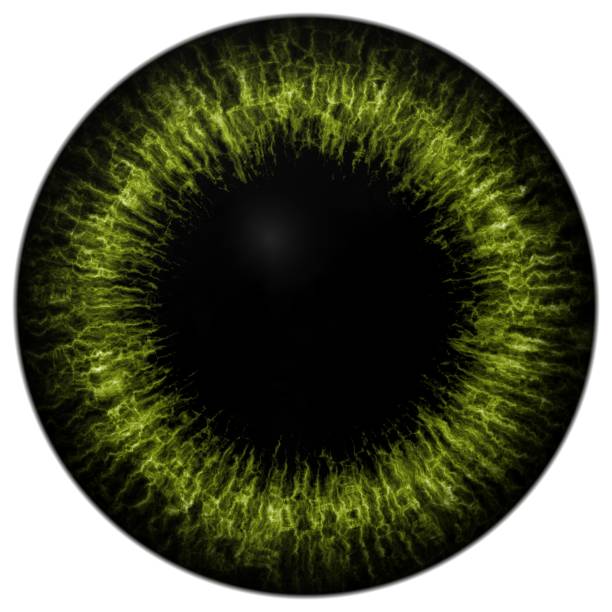 istock Strange animal eye with big colored iris, view into bulb 467691644