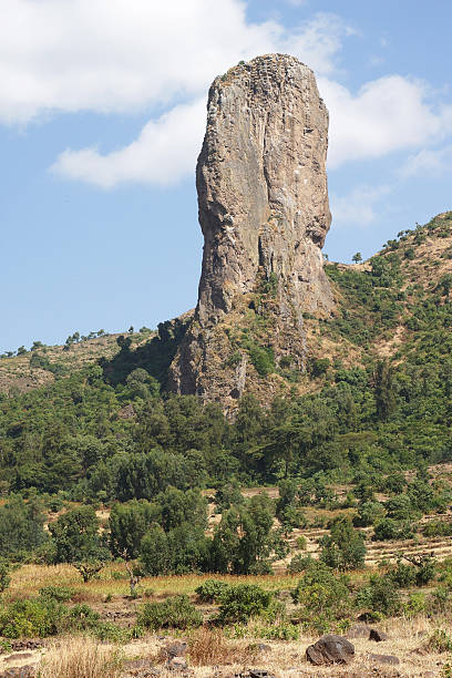 istock Vultures rock, Ethiopia, Africa 467692836