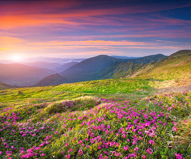 istock Colorful summer sunrise in the mountains 467694038