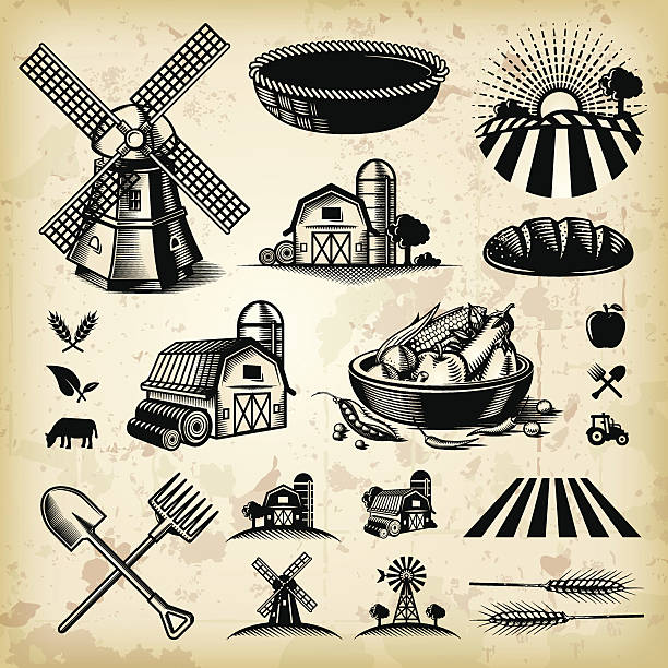 ilustraciones, imágenes clip art, dibujos animados e iconos de stock de granja vintage ilustraciones - agriculture field tractor landscape