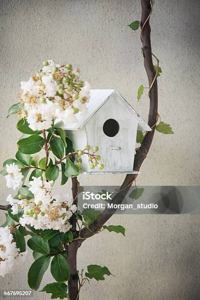 Birdhouse Stock Photo - Download Image Now - Animal Nest, Bird, Birdhouse