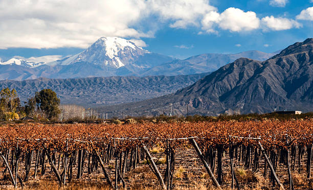 A view of Volcano Aconcagua in Mendoza and vineyards below Volcano Aconcagua and Vineyard. Aconcagua is the highest mountain in the Americas at 6,962 m (22,841 ft). It is located in the Andes mountain range, in the Argentine province of Mendoza andes mountains chile stock pictures, royalty-free photos & images