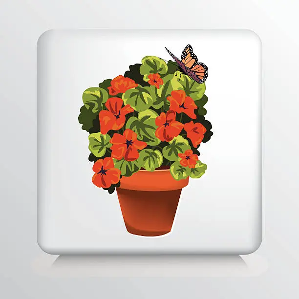 Vector illustration of Square Icon With Terra Cotta Flower Filled Pot and Butterfly