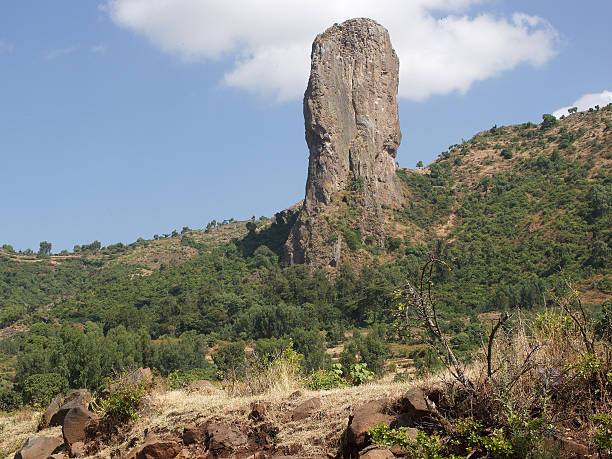 Vultures rock, Ethiopia, Africa