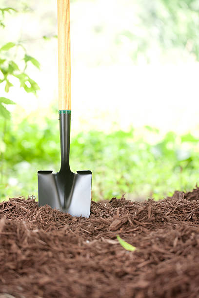 jardinagem pá em ecológicos mulch - humus soil - fotografias e filmes do acervo