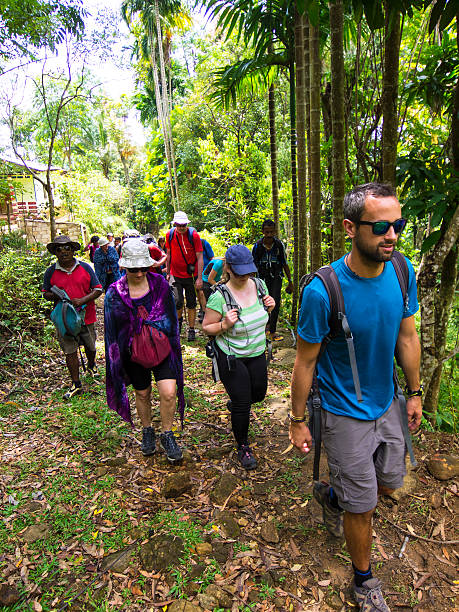 istock Sri Lanka trekking in the forest 467698548