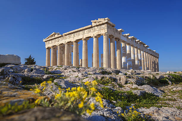 tempio del partenone con fiori sull'acropoli di atene, grecia - greece acropolis parthenon athens greece foto e immagini stock