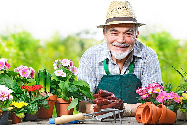 istock Senior in the flower garden 467700414