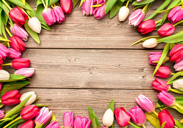tulipani disposte su vecchio sfondo in legno - mothers day frame flower single flower foto e immagini stock