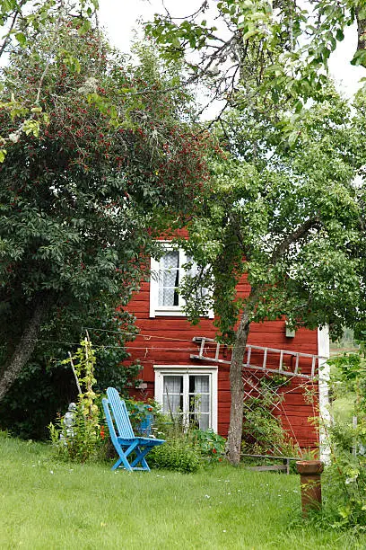 House and garden in Sweden in the summer.