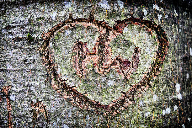 istock wooden heart 467707481