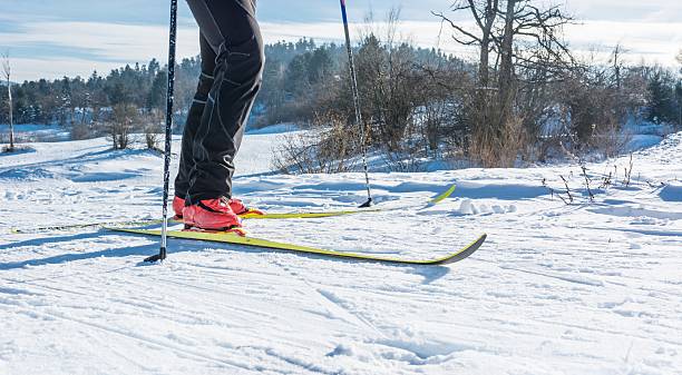 istock Cross country skiing 467707692