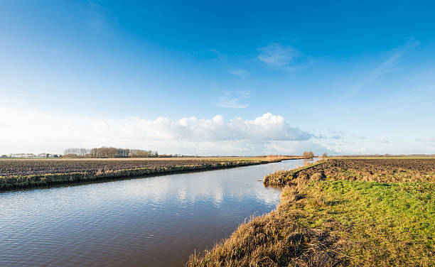 istock Dutch polder landscape in low afternoon sunlight 467708608