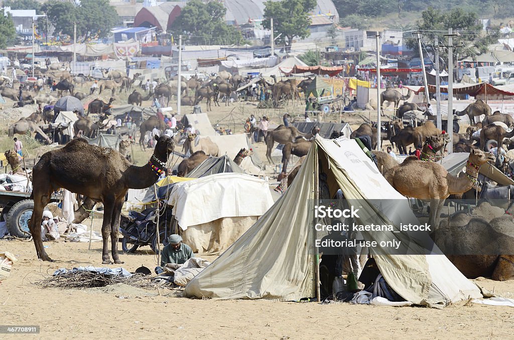 tribal Personen am cattle fair in nomadischen camp, Pushkar, Indien - Lizenzfrei Alt Stock-Foto