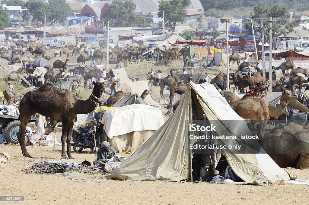 Plemiennych osób na targi bydła obozu w przenośnej, Pushkar, Indie - Zbiór zdjęć royalty-free (Azja)