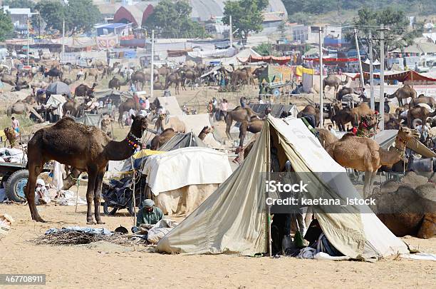 Plemiennych Osób Na Targi Bydła Obozu W Przenośnej Pushkar Indie - zdjęcia stockowe i więcej obrazów Azja