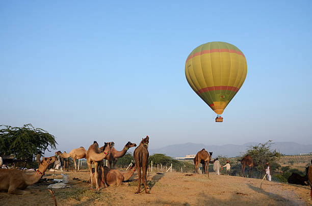 воздушный шар над nomadic, верблюд pushkar mela camp - camel fair стоковые фото и изображения