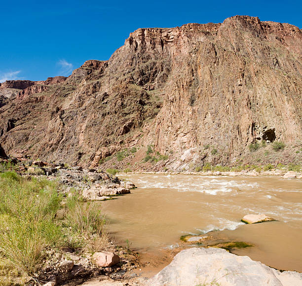 istock Colorado River in Grand Canyon 467713339