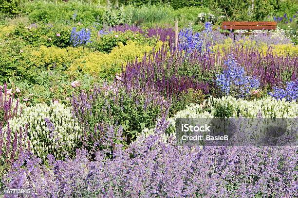 Jardín De Hierbas Foto de stock y más banco de imágenes de Aire libre - Aire libre, Ajardinado, Buqué