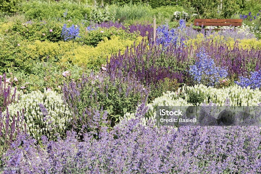 Jardim de ervas - Foto de stock de Ajardinado royalty-free