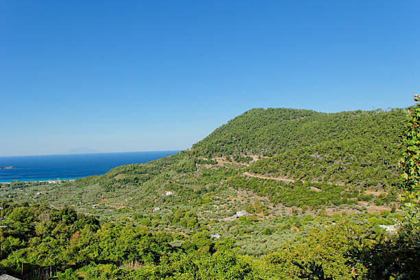 istock rocky beach at greece , thassos 467714485