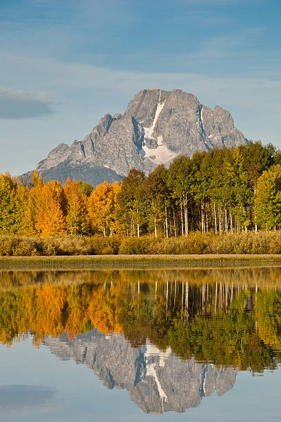 Mount Moran and Fall Colors Reflected in the Snake River The Snake River flows quietly through the Jackson Hole Valley. In many places the water is so calm and glassy that a perfect reflection of the Teton Range is often seen. This picture of the Tetons and fall foliage was taken from Oxbow Bend, a very popular place for photographers. Oxbow Bend is in Grand Teton National Park near Jackson, Wyoming, USA. jeff goulden grand teton national park stock pictures, royalty-free photos & images