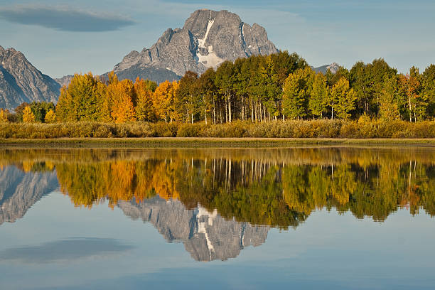 Mount Moran and Fall Colors Reflected in the Snake River The Snake River flows quietly through the Jackson Hole Valley. In many places the water is so calm and glassy that a perfect reflection of the Teton Range is often seen. This picture of the Tetons and fall foliage was taken from Oxbow Bend, a very popular place for photographers. Oxbow Bend is in Grand Teton National Park near Jackson, Wyoming, USA. jeff goulden inspiration stock pictures, royalty-free photos & images